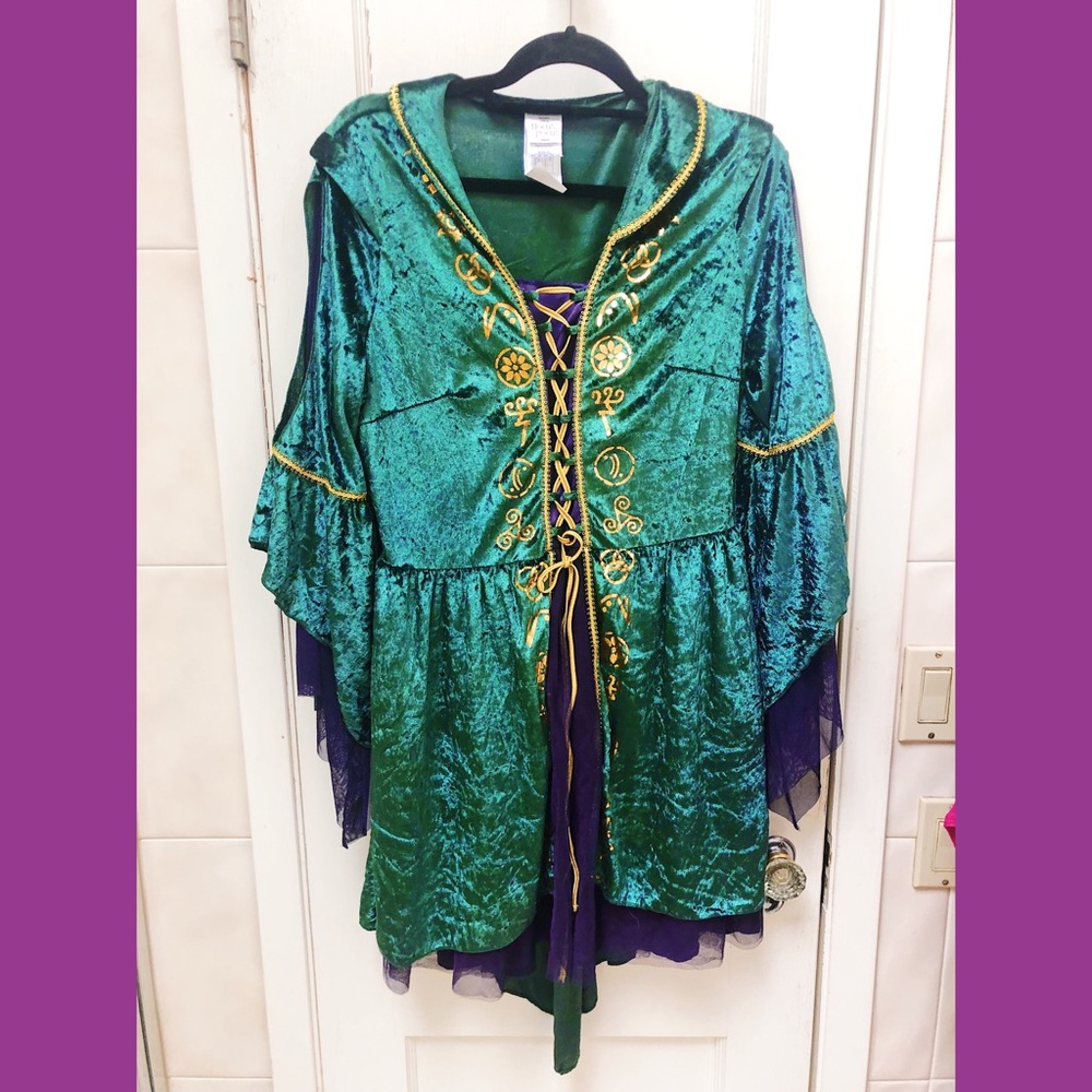 Hocus Pocus Halloween Costume Witch Dress